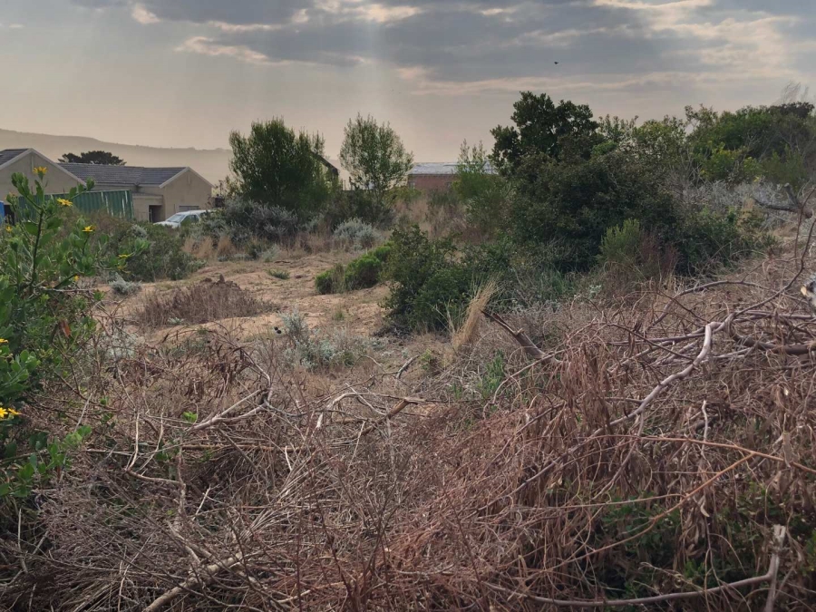 0 Bedroom Property for Sale in Reebok Western Cape